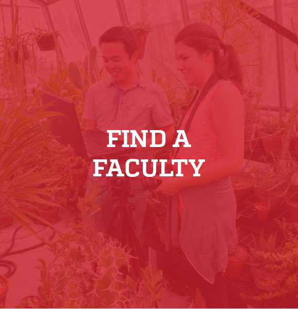 Click here to find a faculty
