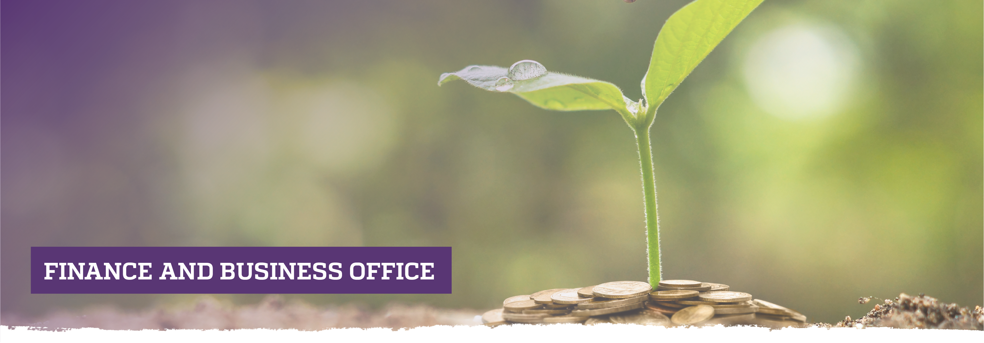 Plant growing out of pile of coins; Finance and Business Office