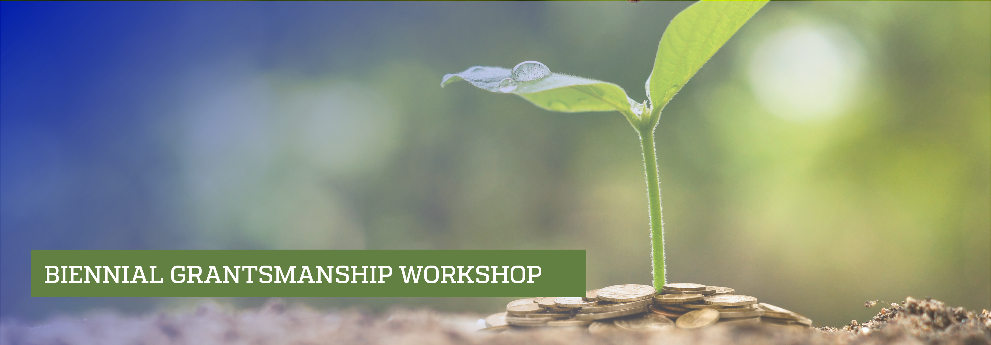 Plant growing from pile of coins; Bi-Annual Grantsmanship Workshop