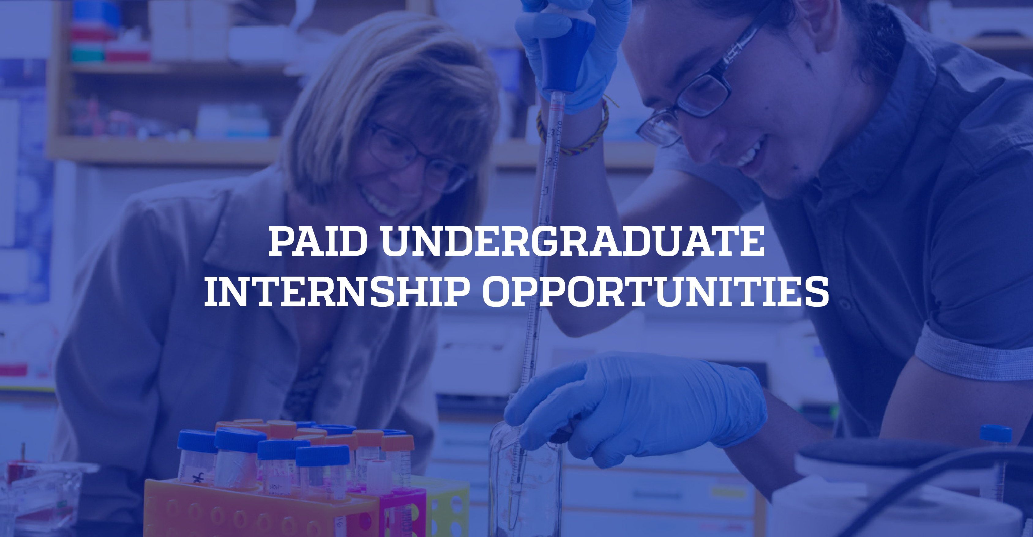 Click here for paid summer internship opportunities