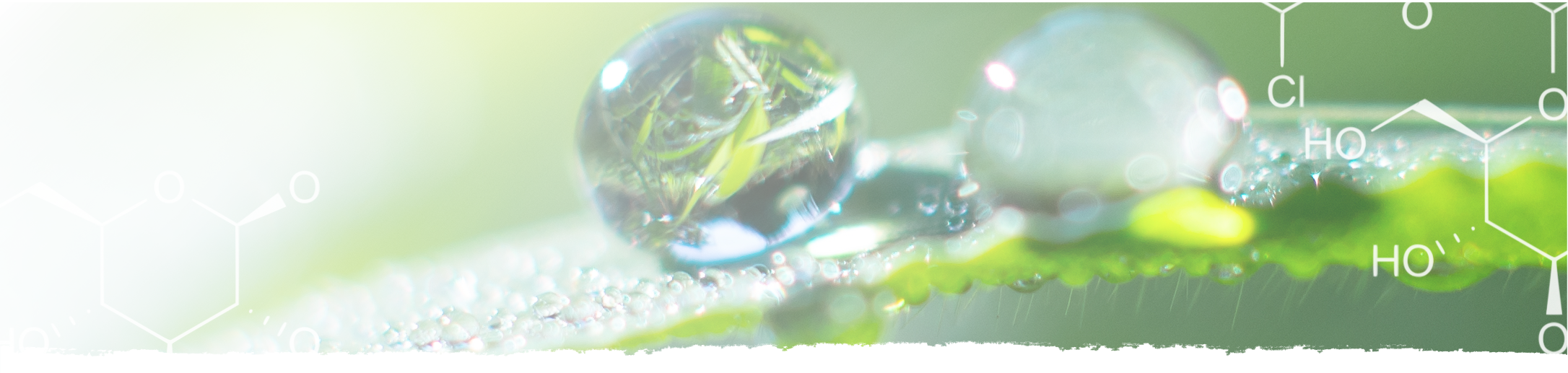 Water droplet on leaf with chemistry symbols