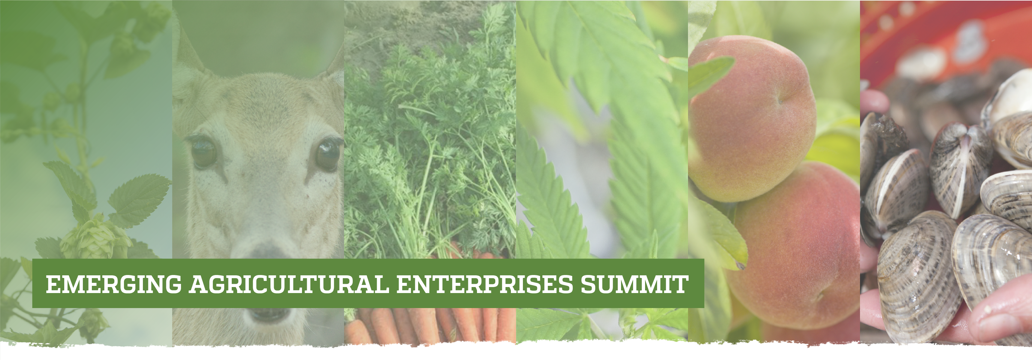 Emerging Agricultural Enterprises Summit showing hops, deer, carrots, hemp, peaches and oysters