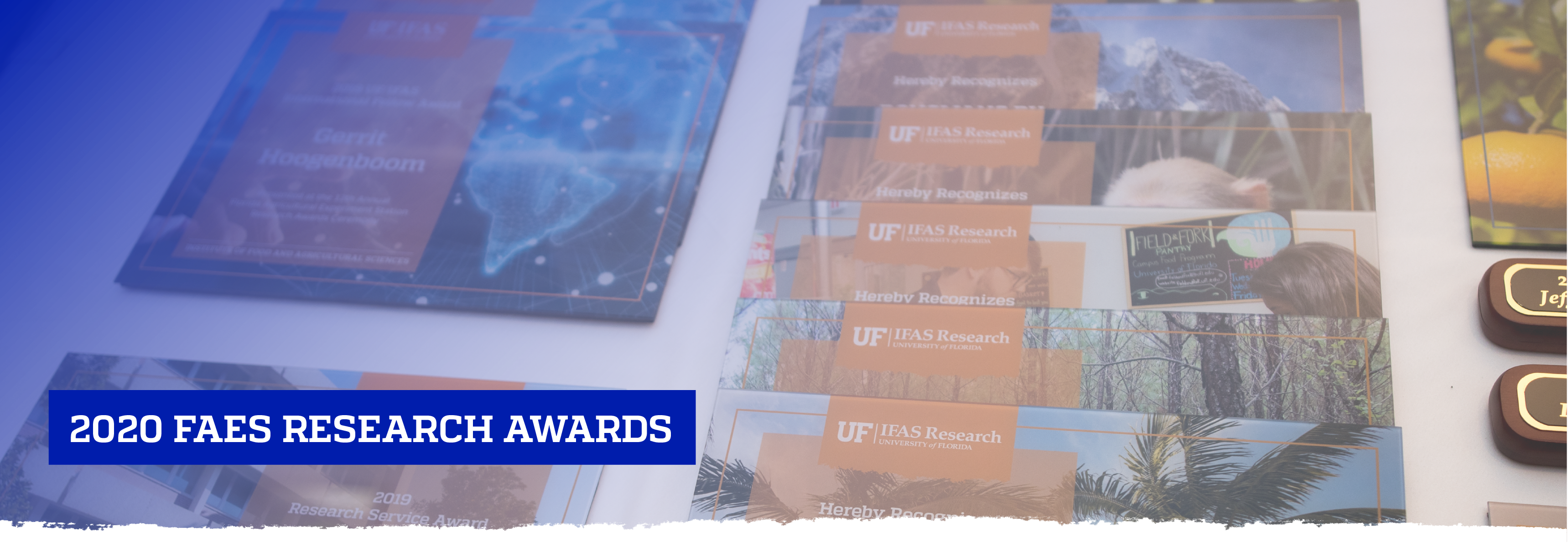 2020 FAES Research Awards